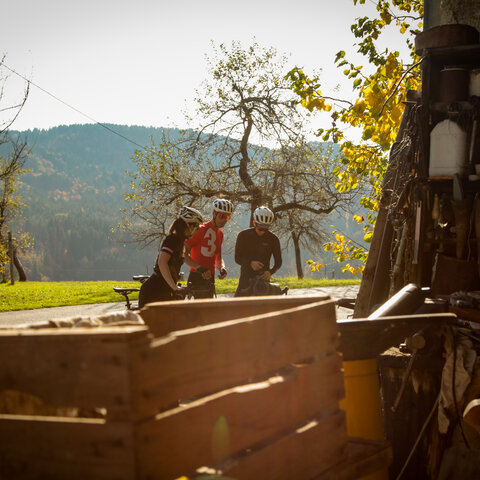 <p>Gravelbike Gruppe in traumhafter Herbststimmung am Wörthersee. Schotter und tolle Spots in Kärnten.</p>