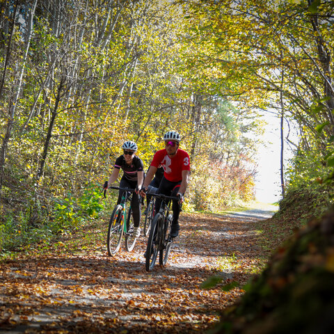 <p>Gravelbike Gruppe in traumhafter Herbststimmung am Wörthersee. Schotter und tolle Spots in Kärnten.</p>