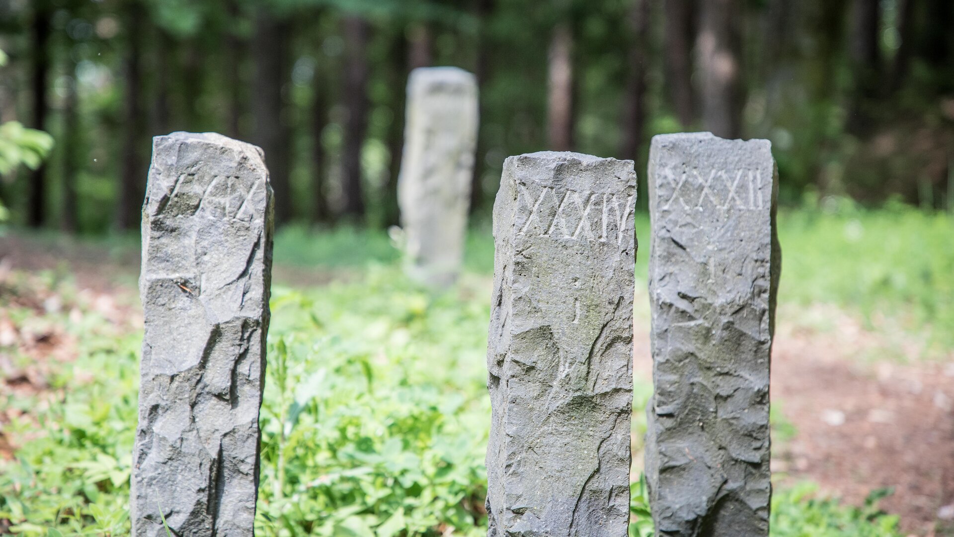 <p>Lost Places im Alpen-Adria-Raum. Verfallene und vergessen Gebäude bei den spannenden Gravelbike Touren vom Wörthersee aus entdecken.</p><p>Am Bild Grabsteine der Keltensiedlung am Kathreinkogel.</p>