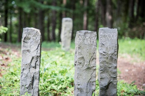 Lost Places im Alpen-Adria-Raum. Verfallene und vergessen Gebäude bei den spannenden Gravelbike Touren vom Wörthersee aus entdecken.Am Bild Grabsteine der Keltensiedlung am Kathreinkogel.
