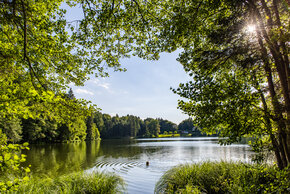 Trattnigteich in der Gemeinde Schiefling am Wörthersee.