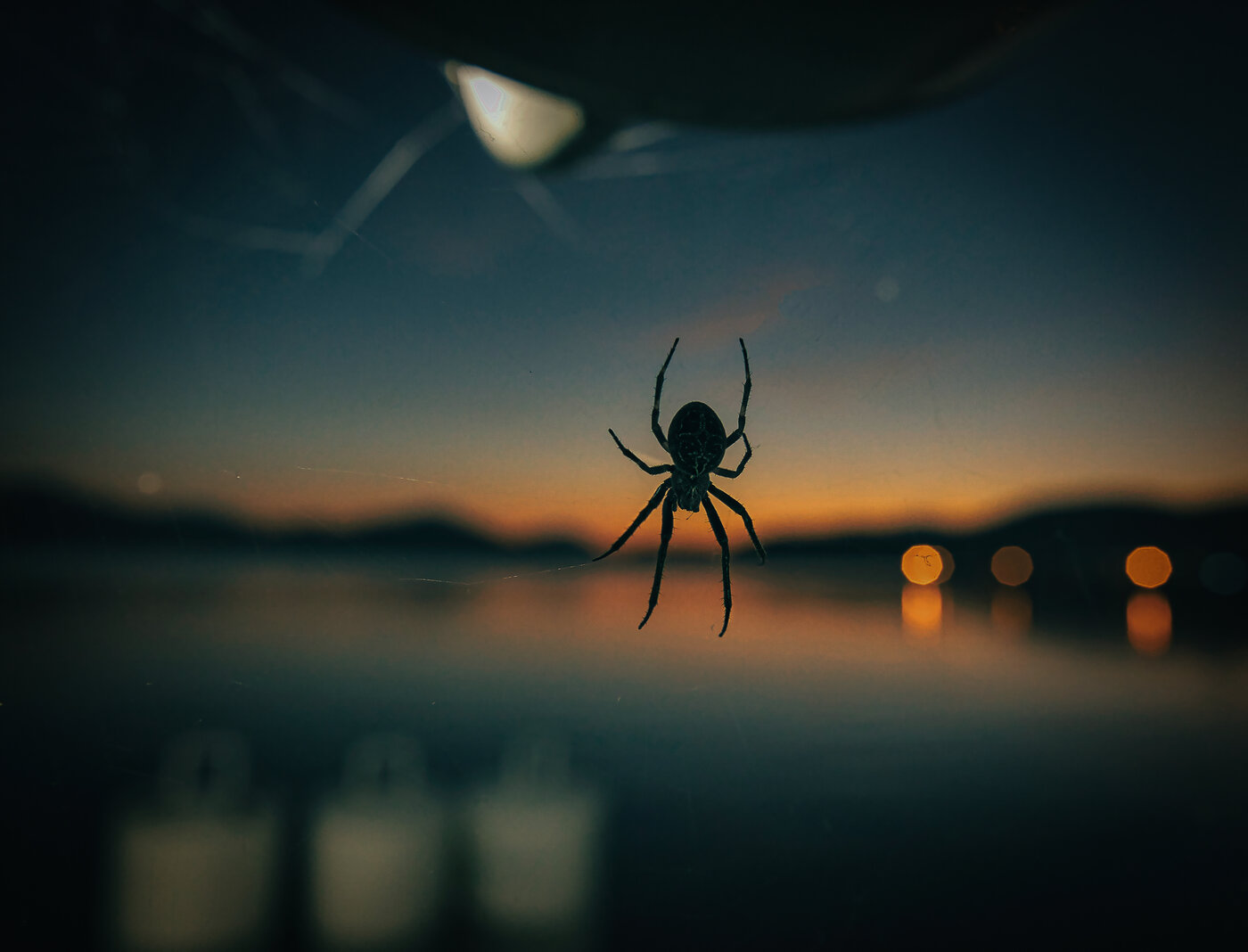 <p>Krimifest Kärnten mit den besten Autoren und Lesungen der Krimiszene am Wörthersee und Villach. Mystische Stimmung und Spannung garantiert.</p>